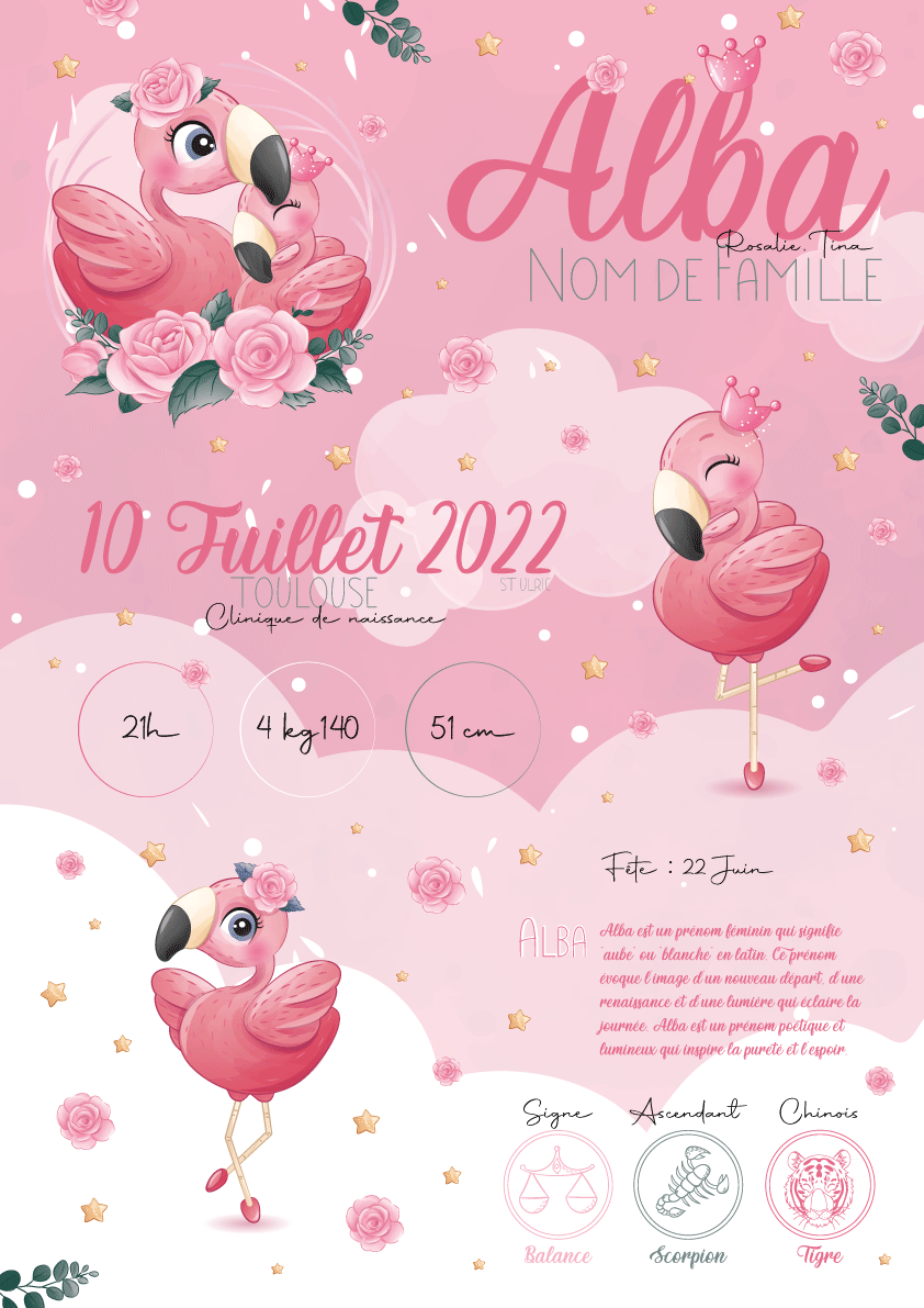 AFFICHE-FLAMANT-ROSE