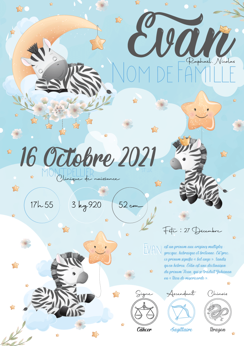 AFFICHE-ZEBRE
