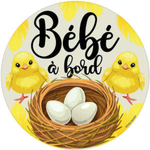 bébé à bord poussin